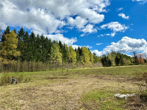 0 Jackson Hill Road, Meredith, NY 13846