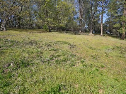 837 Vivian Ct, Placerville, CA 95667 Photo