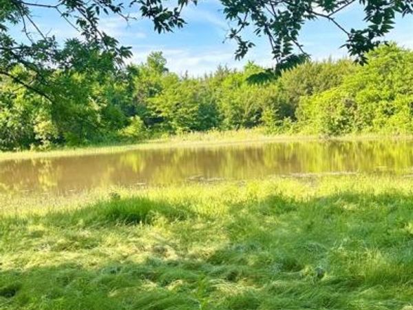 0 County Road 5020 Road, Unit OF, Blue Ridge, TX 75424