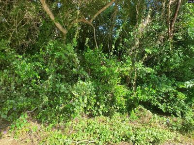 1671 Desoto Road, Orangeburg, SC 29115