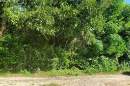 1671 Desoto Road photo 4