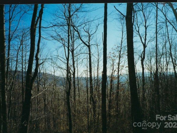 Lot #35 Damselfly Court, Spruce Pine, NC 28777