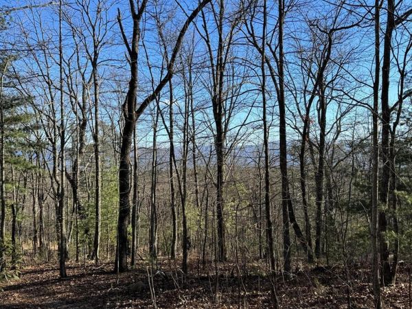 6838 Flats Rd, Tallassee, TN 37878