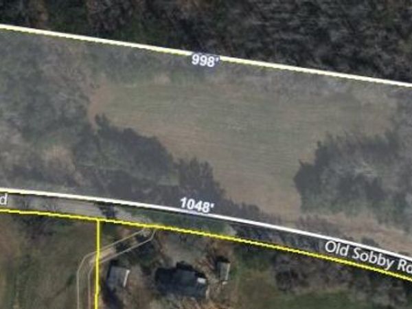 0 Old Sobby Road, Bethel Springs, TN 38315