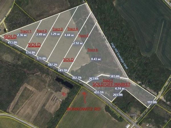 Tract 6 Borkowitz Rd., Scranton, SC 29591