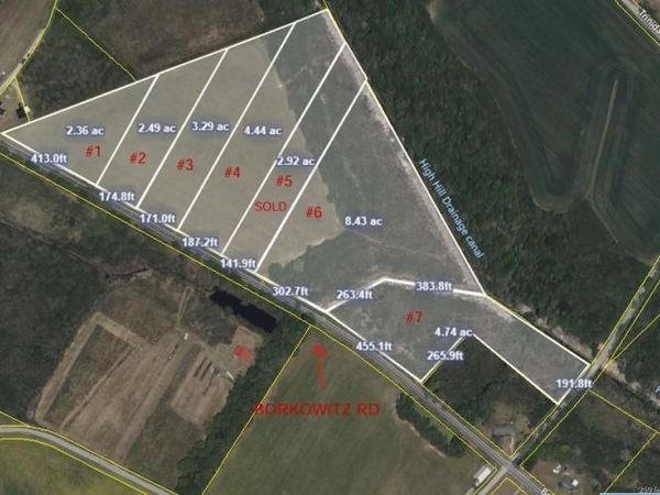 Tract 6 Borkowitz Rd., Scranton, SC 29591