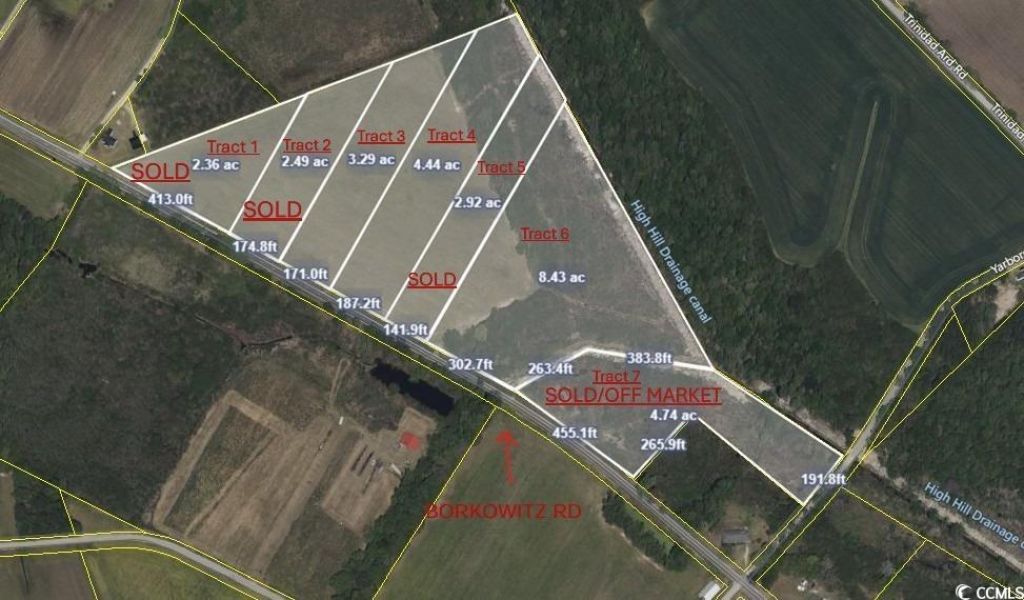 Tract 3 Borkowitz Rd., Scranton, SC 29591 Main Photo