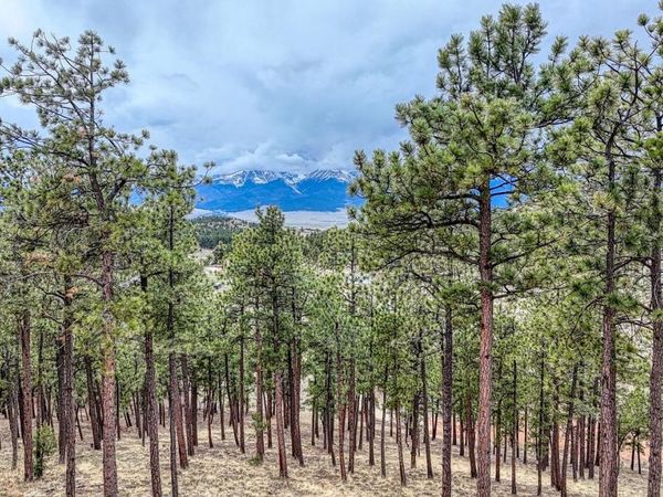 Lot 43 S Ben Eaton Lane, Westcliffe, CO 81252