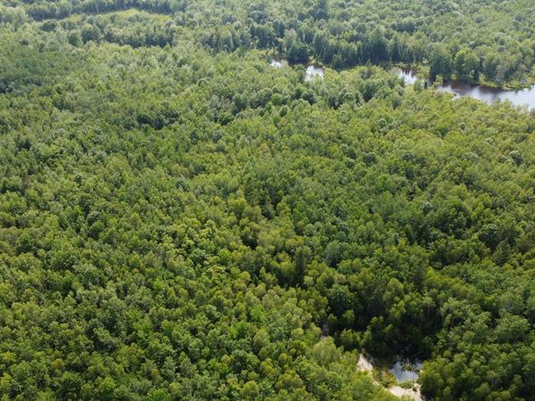 7 Sharon Lane, Cherryfield, ME 04622