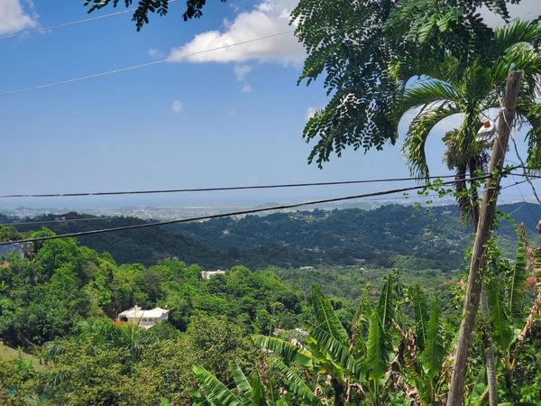 3 812 BARRIOS DAJAOS-SANTA OLAYA, Bayam??n, PR 00956