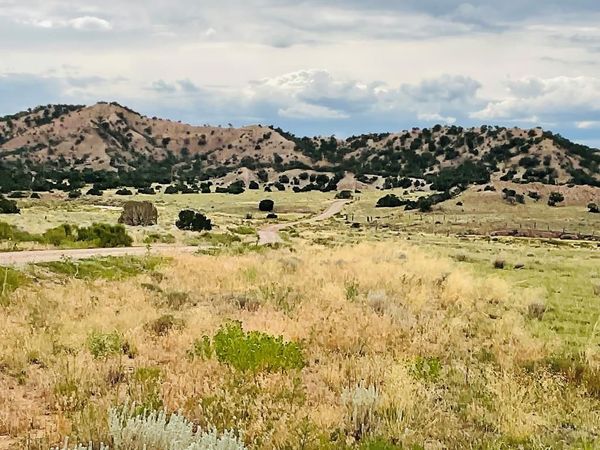 LOT 100 County Rd 542, Gardner, CO 81090