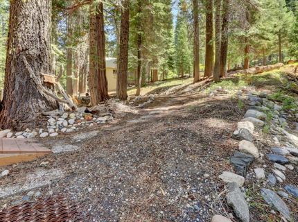 351 Silvertip Springs Dr, La Porte, CA 95981 Photo