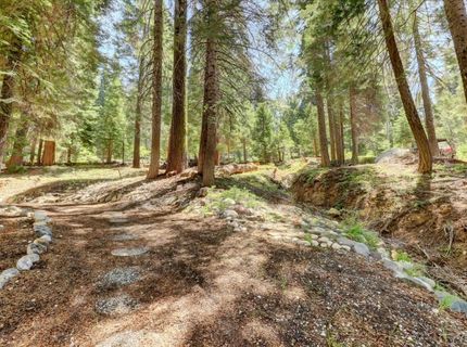 351 Silvertip Springs Dr, La Porte, CA 95981 Photo