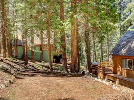 351 Silvertip Springs Dr, La Porte, CA 95981 Photo