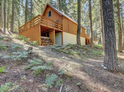 351 Silvertip Springs Dr, La Porte, CA 95981 Photo