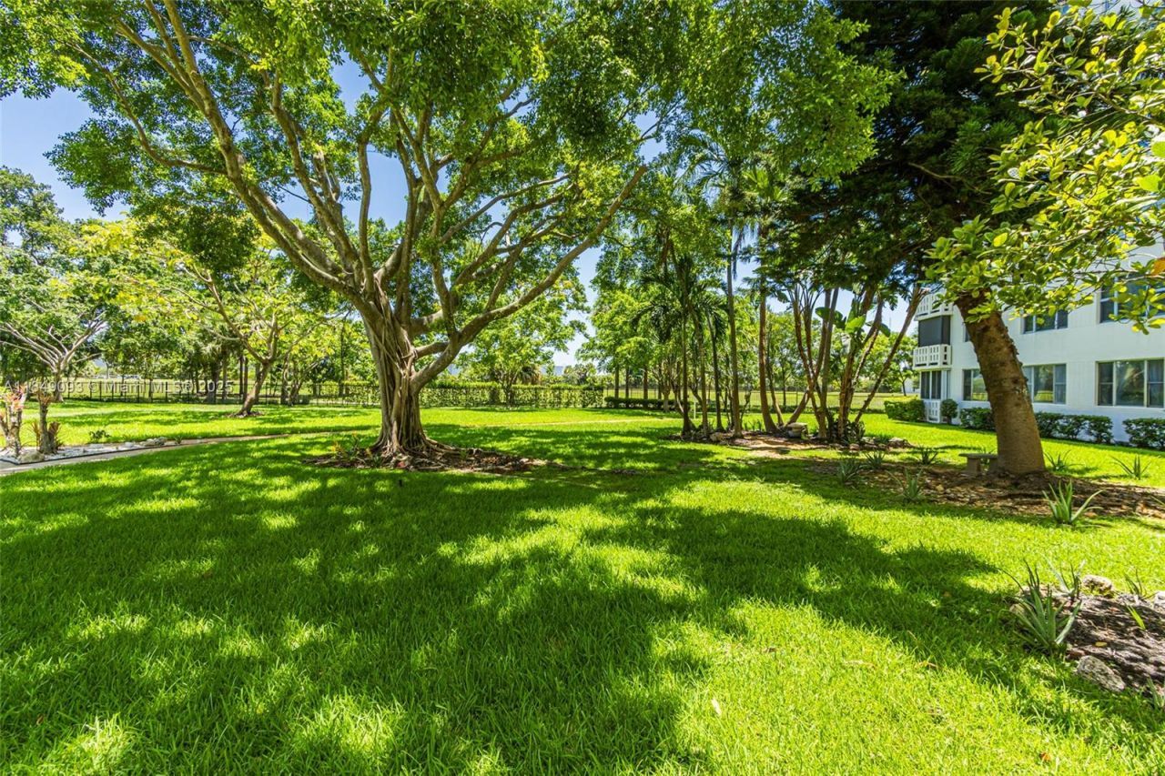 4330 Hillcrest Dr, Unit 519, Hollywood, FL 33021 Photo