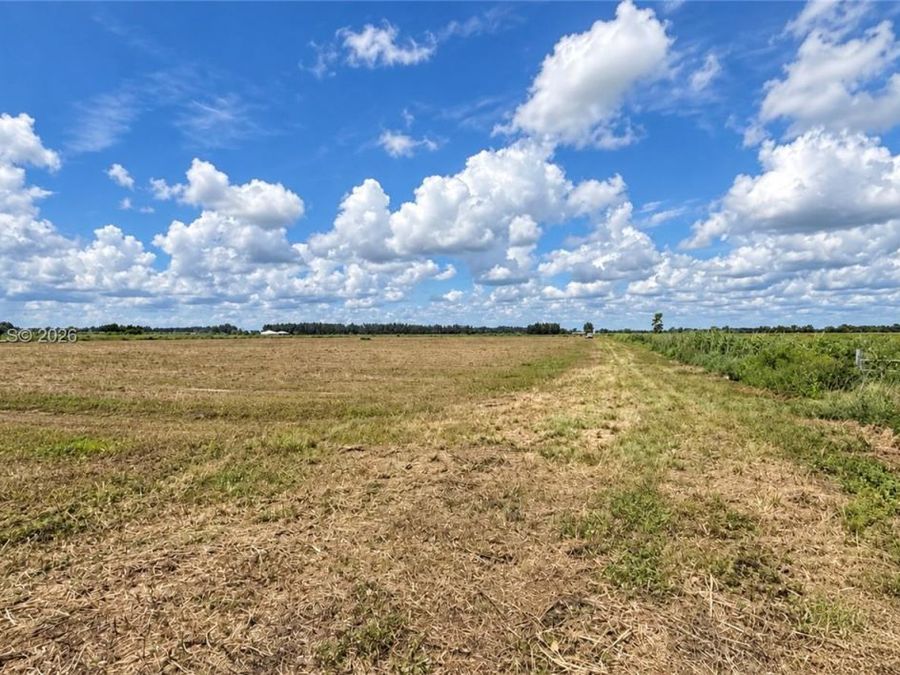 Property Image 46