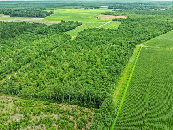 1 Green Sea Road, Garland, NC 28441