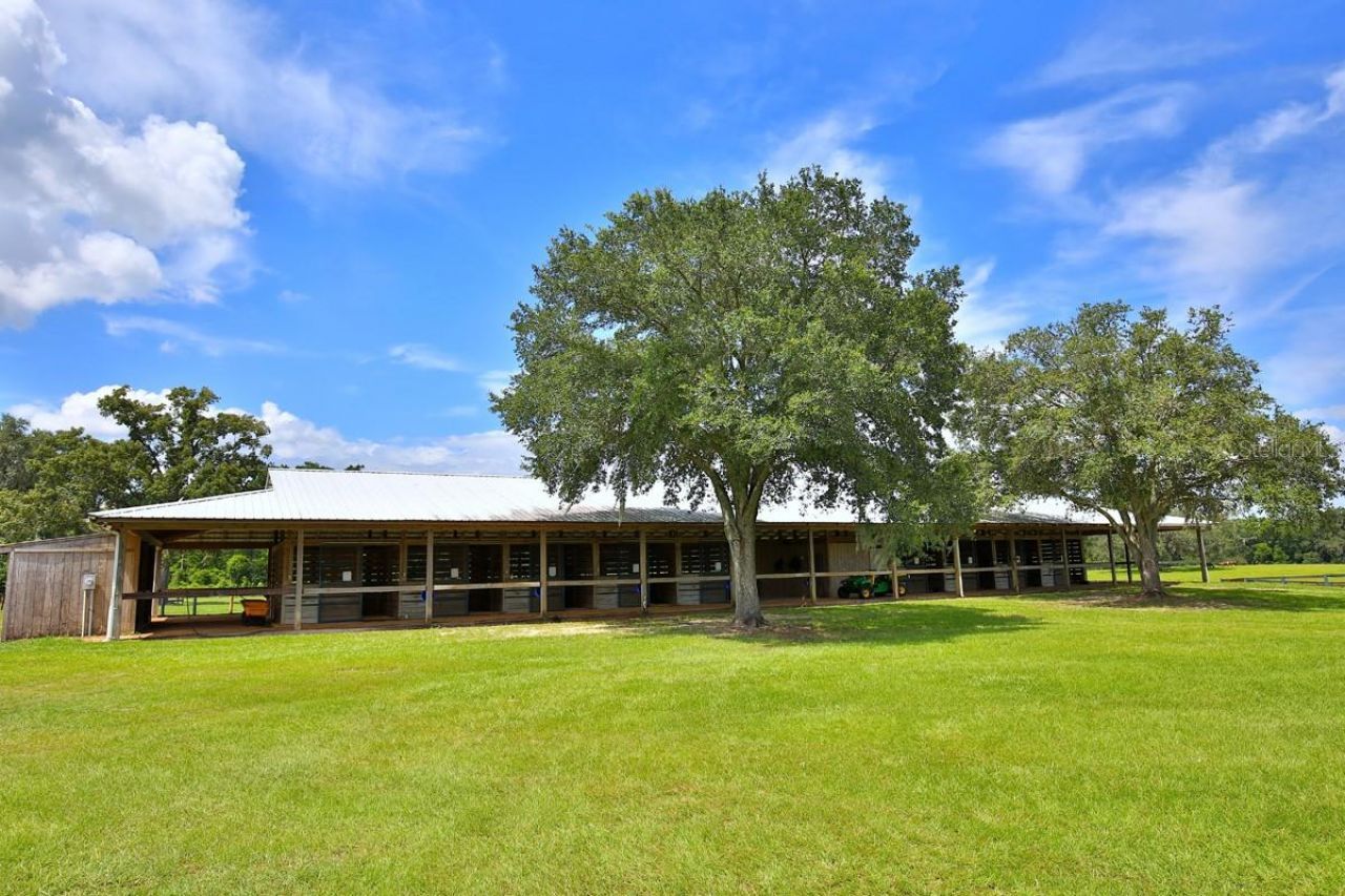 12219 & 12225 SW 26th Street, Ocala, FL 34481 Photo