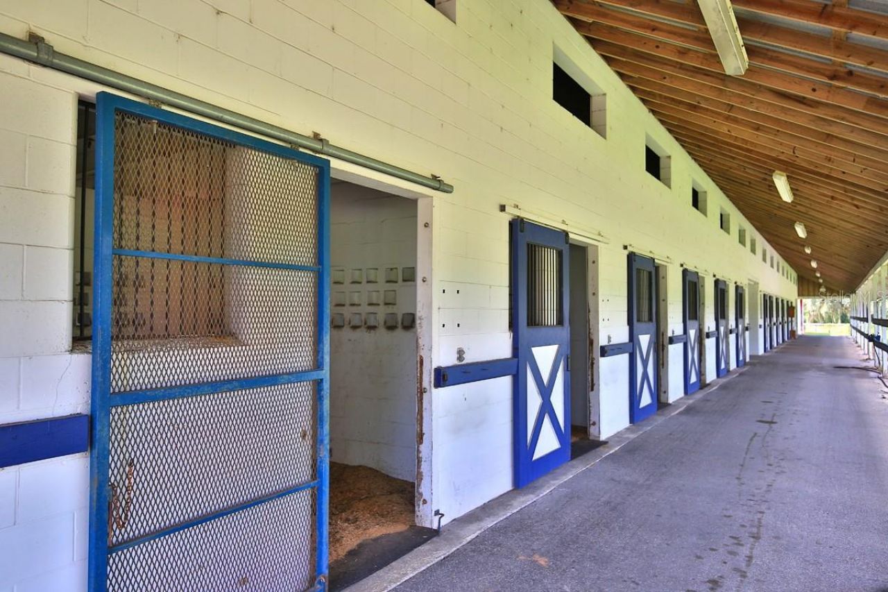 12219 & 12225 SW 26th Street, Ocala, FL 34481 Photo