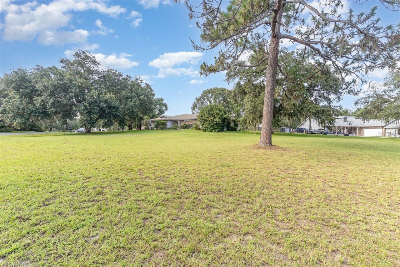 3203 S Skyline Drive, Inverness, FL 34450 Photo