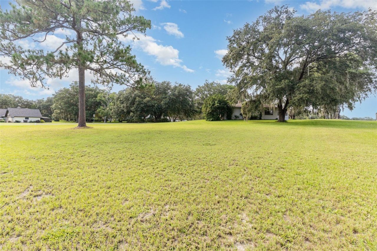 3203 S Skyline Drive, Inverness, FL 34450 Photo