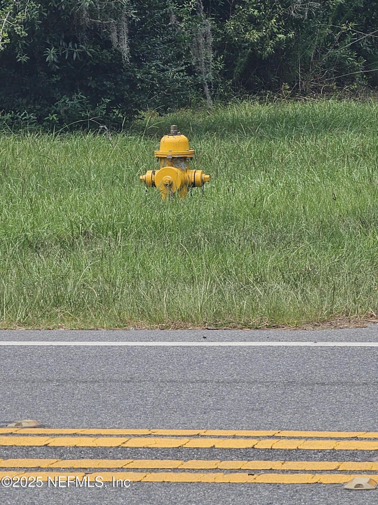 0 Us Highway 90, Baldwin, FL 32234 Photo