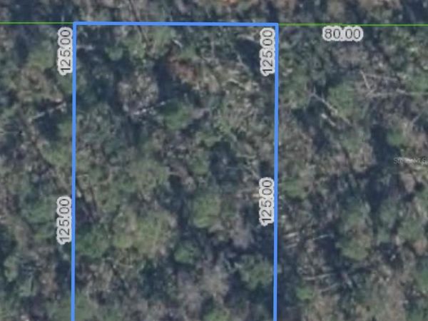 455 NIGHTINGALE AVENUE, SEBRING, FL 33870
