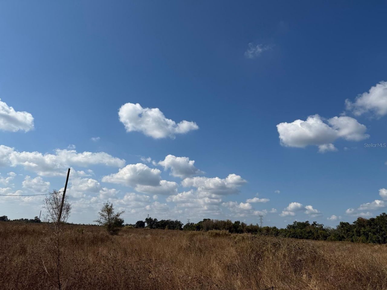 12828 Fort King Highway, Thonotosassa, FL 33592 Photo