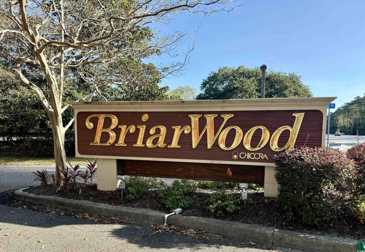 986 Briarwood Dr. Photo 21