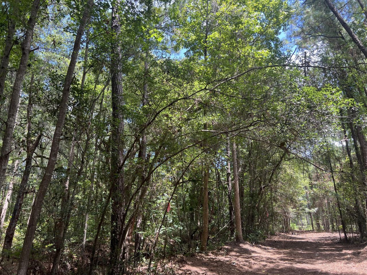 11473 S Fraser Street Photo 10