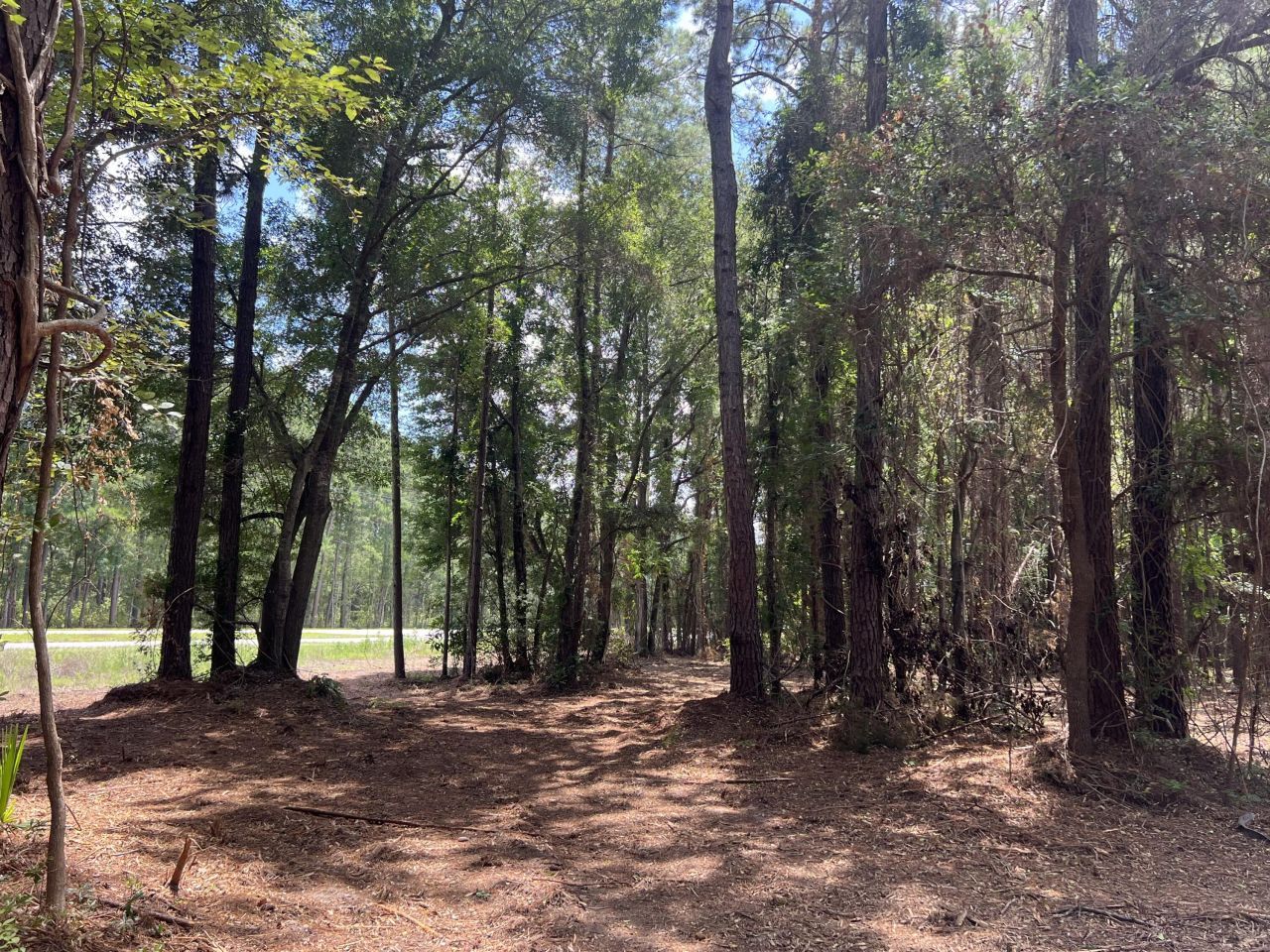 11473 S Fraser Street Photo 12