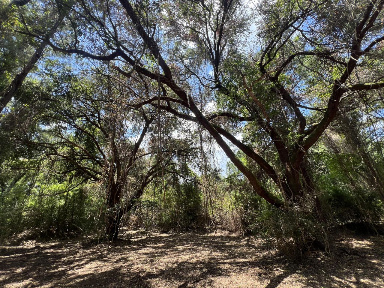 11473 S Fraser Street Photo 5