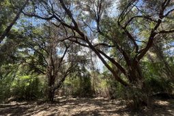 11473 S Fraser Street photo 4