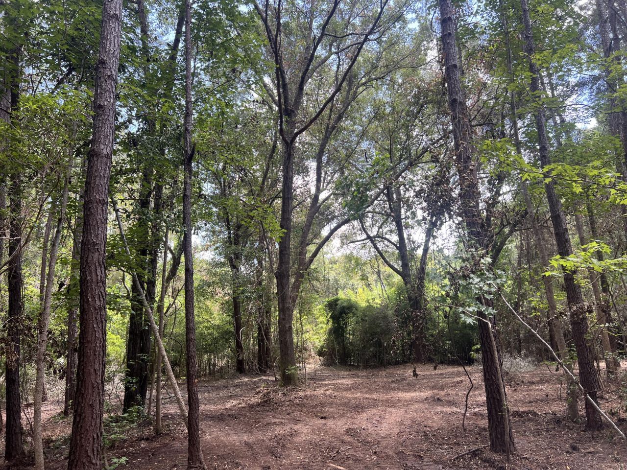 11473 S Fraser Street Photo 6