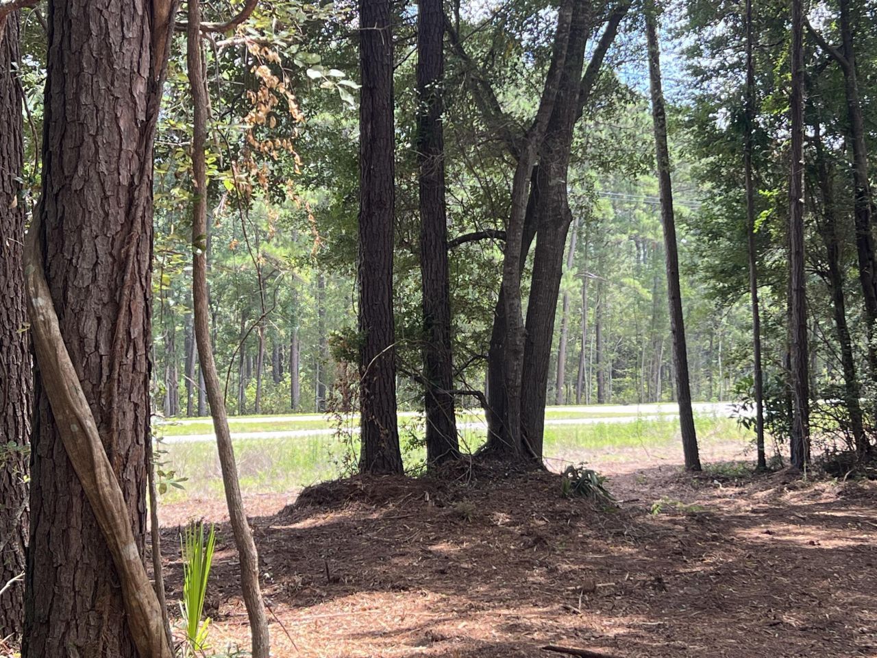 11473 S Fraser Street Photo 7