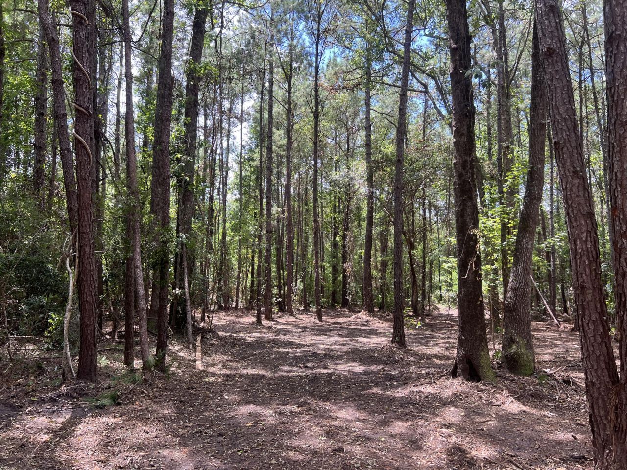 11473 S Fraser Street Photo 8