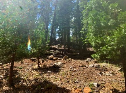 148 Slim Drive, Chester, CA 96020 Photo
