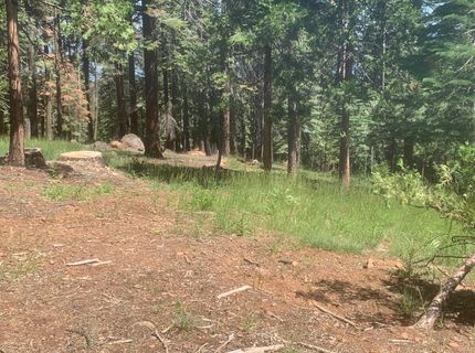 148 Slim Drive, Chester, CA 96020 Photo