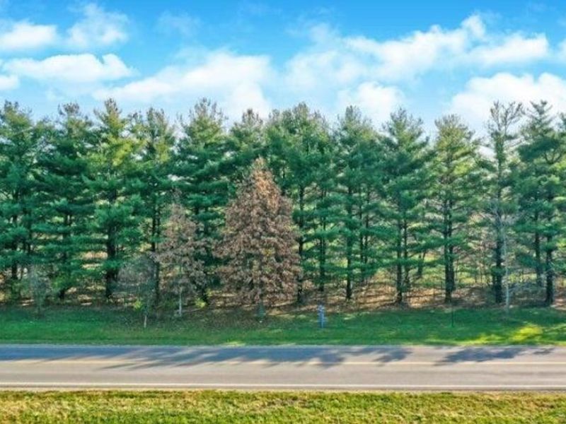 3689 Piatt Road, Unit Lot 2, Delaware, OH 43015 Photo 6