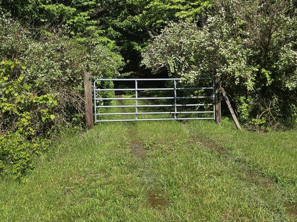 157 Highway, Rising Fawn, GA 30738