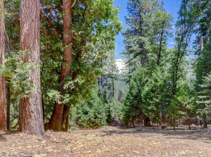14115 Tahoe View Dr, Grass Valley, CA 95945 Photo