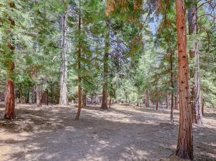 14115 Tahoe View Dr, Grass Valley, CA 95945 Photo