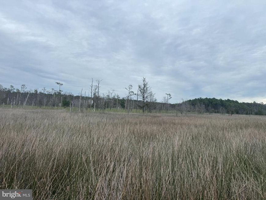 Farm Creek, Wingate, MD 21675 Main Photo