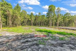 Lot 1 Coats Rd. photo 4