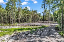 Lot 1 Coats Rd. photo 4