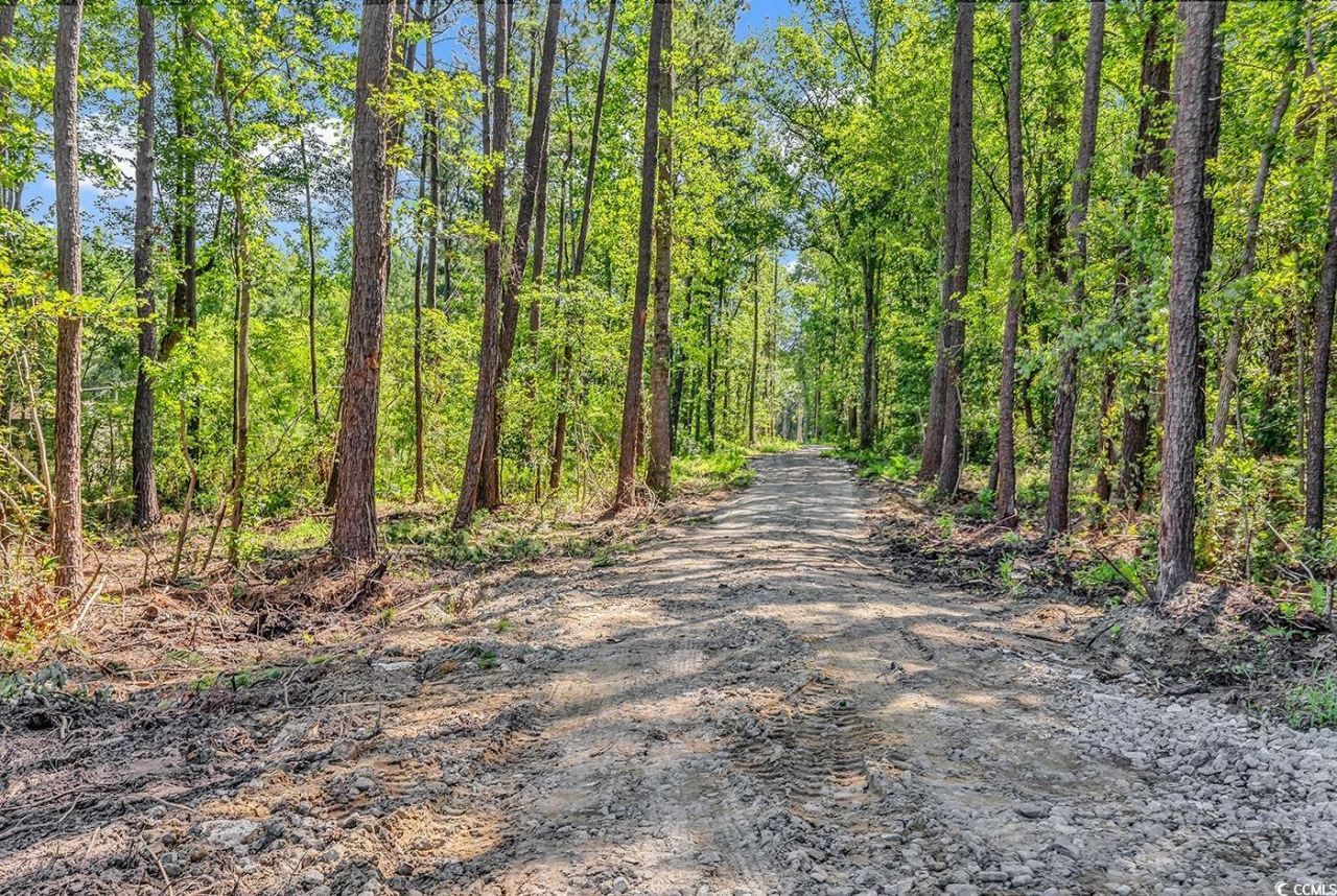 Lot 1 Coats Rd. Photo 5