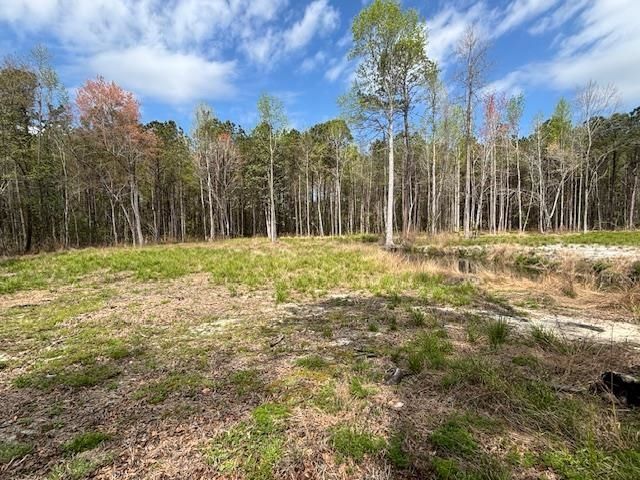 Lot 1 Coats Rd. Photo 8