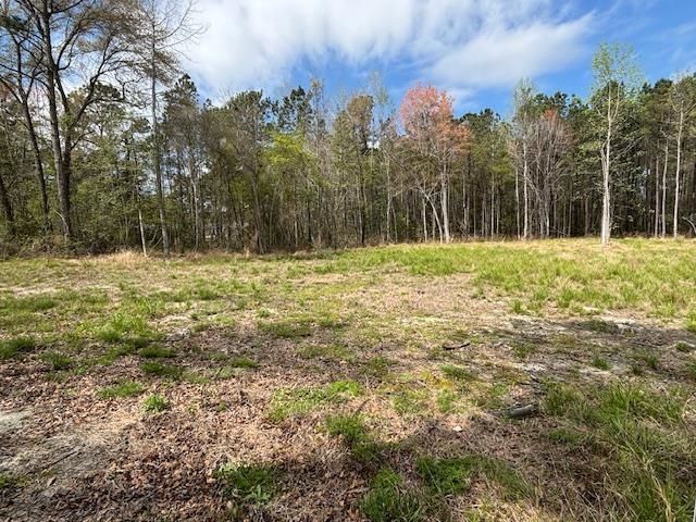 Lot 1 Coats Rd. Photo 9