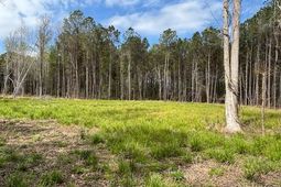 Lot 3 Coats Rd. photo 4